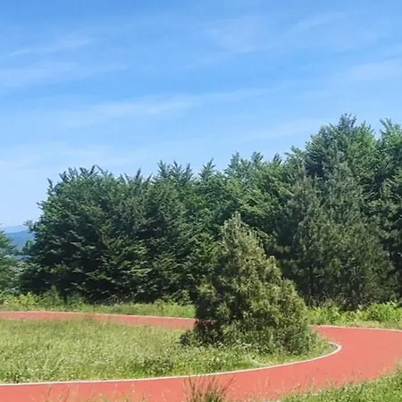 Maksibor Wellness & Lägenhet *