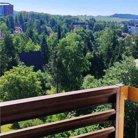 Maksibor Wellness & *