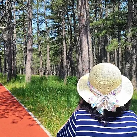 Lägenhet Maksibor Wellness &